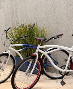 two bikes are parked next to a plant at Pousada Três Marias - Guaiuba in Guarujá +23 photos