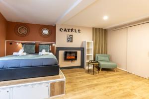 ein Schlafzimmer mit einem Bett und einem Kamin in der Unterkunft LE CATELE - Studio RIOM - 3 pers - Vulcania - Puy de Dôme - Proche Clermont Ferrand in Riom