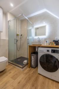 ein Badezimmer mit einer Dusche, einem Waschbecken und einer Waschmaschine in der Unterkunft LE CATELE - Studio RIOM - 3 pers - Vulcania - Puy de Dôme - Proche Clermont Ferrand in Riom