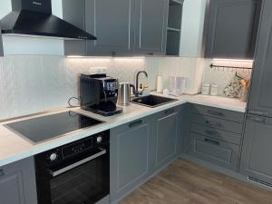 Una cocina o cocineta en Apartment MIKO, FREE GARAGE PARKING