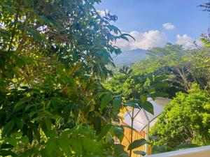 صورة لـ Cabaña tipi sapo con vista a la montaña في سيلفانيا