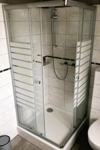 Pellinger-Hof في Pellingen: دش مع باب زجاجي في الحمام
