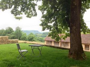 Ein Picknicktisch und ein Stuhl in einem Garten neben einem Baum in der Unterkunft Maison Milou in Beynac-et-Cazenac