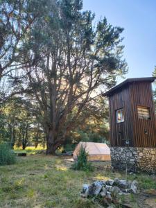 a wooden cabin with a tree in a field at Refugio CASA NAVE Torre del Bosque in San Eduardo del Mar