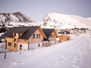 Designchalets Falkertsee iarna