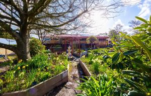 a garden with flowers and a building in the background at Maureens Retreat in Eureka