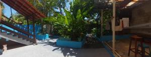 a group of plants in pots on a patio at BOIPEBA Cantinho do Mirko 3 in Ilha de Boipeba