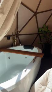 a bath tub with a sink and a plant at Cabana winchesters - Domo in Cascavel
