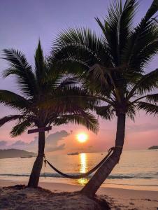 Peisaj natural din apropierea acestui hostel