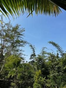 Φωτογραφία από το άλμπουμ του Avocado Orchards - Villa σε Kenichira