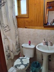 a bathroom with a toilet and a sink at Departamento centro Quellon in Quellón