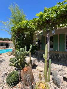 un gruppo di cactus e piante di fronte a una casa di Casa Limonella - Maison 12 pers avec piscine a Fontvieille
