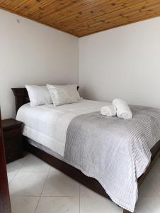 Ένα ή περισσότερα κρεβάτια σε δωμάτιο στο Apartamento cómodo, tranquilo con parqueadero, excelente ubicación