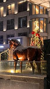 Zvířata v hotelu nebo okolí + 154 fotografií