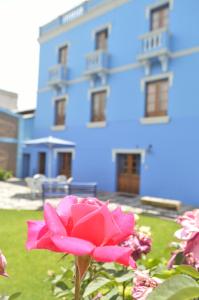 una rosa rosa frente a un edificio azul en Las Mercedes en Arequipa