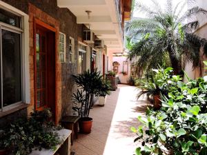 佛羅安那波里的住宿－佩德拉羅薩旅館，植物盆栽的建筑物的走廊