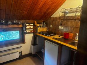 une petite cuisine avec un comptoir et un évier dans l'établissement Dom Karpacz -Wolna, à Karpacz 6 autres photos