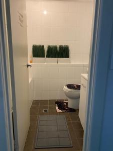 a bathroom with a toilet and some green plants at Platform One Guildford in Guildford