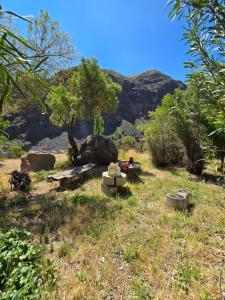 un parco con panchine e un albero in un campo di Cabaña Valle del Yeso a El Manzanito Altre 3 foto