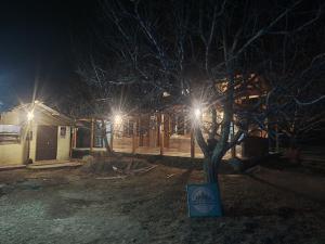 Billede fra billedgalleriet på Cafe Kalga i Kalgha