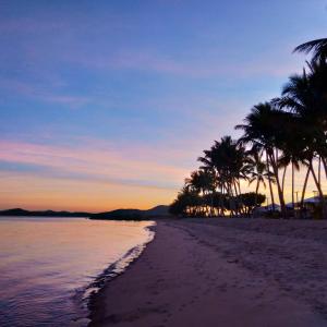 Una playa con palmeras y el océano al atardecer en Pet Friendly Sleeps 8 Bowen Holiday House, en Bowen 117 fotos más