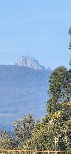 Природа в окрестностях апартаментов/квартиры