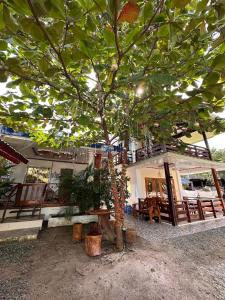 een gebouw met een boom ervoor bij Tirso and Nora's Inn in General Luna