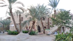 Garður fyrir utan Paloma Wodden House !!!