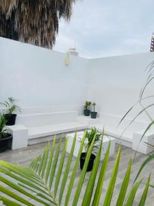 een witte bank in een kamer met planten bij Casa Divina con playa, tranquilidad y comodidad en La Paz in La Paz +21 foto's