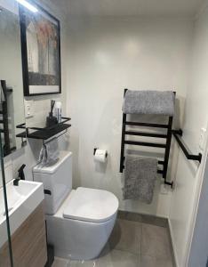 a bathroom with a toilet and a towel rack on the wall at Beach view studio 337 in Omapere