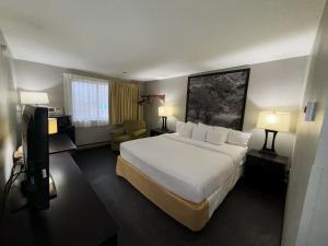 a hotel room with a bed and a television at Super 8 by Wyndham Williston ND in Williston