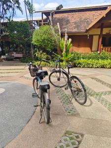 Jízda na kole v ubytování Kawila126 nebo okolí