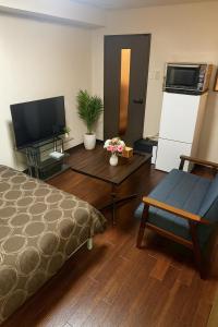 TV a/nebo společenská místnost v ubytování KIYAZA Louvre Sapporo