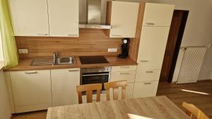 Η κουζίνα ή μικρή κουζίνα στο Ferienwohnung Stabentheiner +16 φωτογραφίες