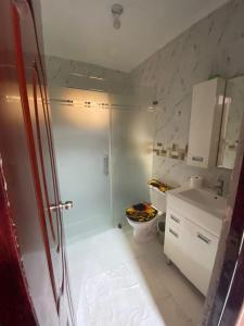a bathroom with a shower and a toilet and a sink at La Ureña House in La Ureña