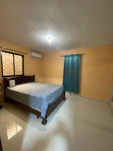 a bedroom with a large bed with a blue curtain at La Ureña House in La Ureña
