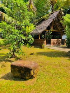 a tree growing out of a rock in front of a building at Lotus cool hotel and restaurant in Ibbagomuwa +88 photos