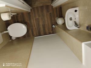 ヴェチーシュにあるGrany's Retro Guesthouse near Budapest AirPortのトイレと洗面台のある小さなバスルーム