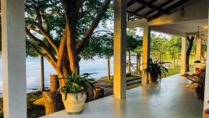 Příroda nedaleko hotelu + 33 fotografií