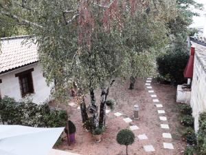 En have udenfor Studette du Logis du Parc