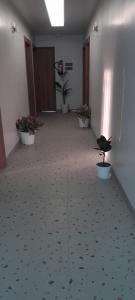 Imagine din galeria proprietății Hotel City View în Golāghāt