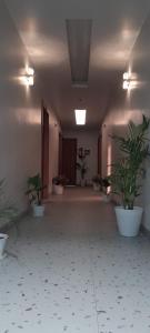 Galería fotográfica de Hotel City View en Golāghāt 9 fotos más