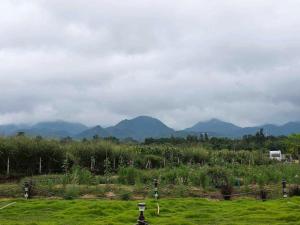 une vue d'un champ avec des montagnes en arrière-plan dans l'établissement LeLaNa Farmstay Camping, à Pak Chong
