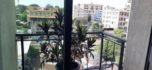 Abay international Hotel في بحر دار: شرفة مع نباتات الفخار وإطلالة على المدينة +4 صور
