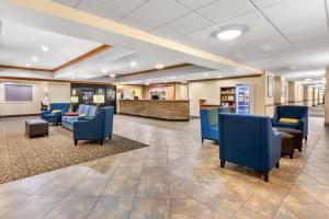 Foto dalla galleria di Comfort Inn & Suites Thatcher - Safford a Thatcher Altre 34 foto