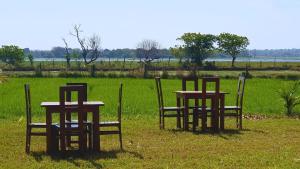 Příroda nedaleko penzionu