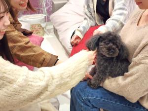 出云市一棟貸しゲストハウス マリドール的一位女士怀里抱着一只黑色小狗