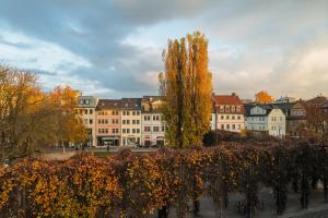 ワイマールにあるHotel Erbenhofの建物前の木並み