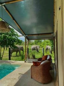 Bazén v ubytování Elephant View Camp nebo v jeho okolí