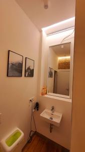 a bathroom with a sink and a toilet and a mirror at Zimmer im Erdgeschoss II in Mannheim